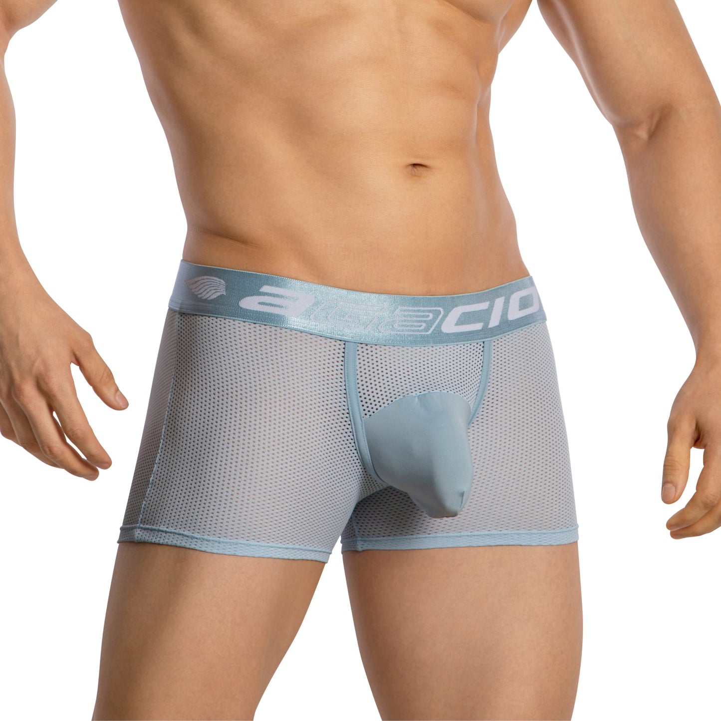 Agacio Boxer Mesh Trunks with Pouch AGG085 Provocative Men's Underclothing