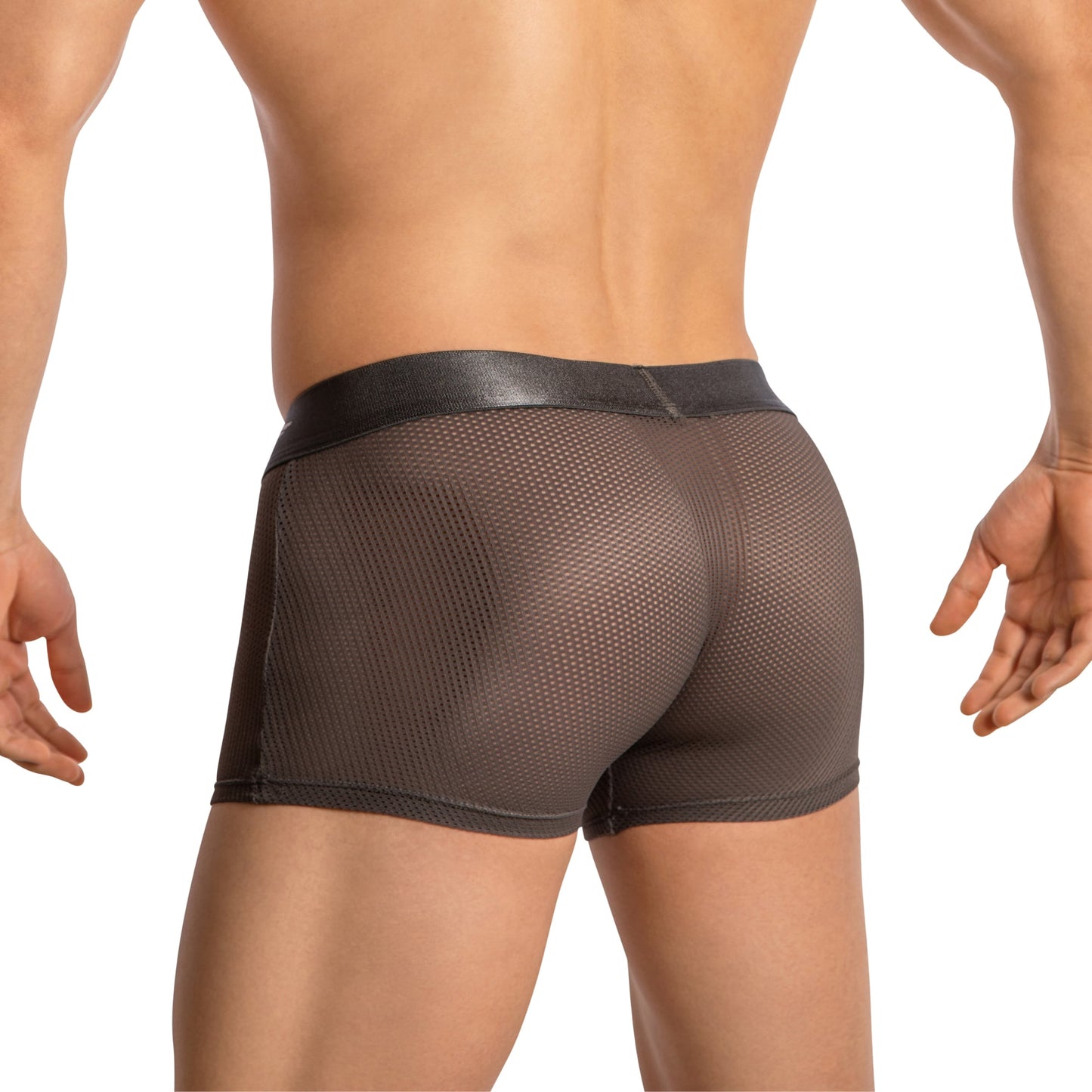 Agacio Boxer Mesh Trunks with Pouch AGG085 Sensual Men's Underwear