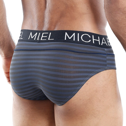 Michael MLH010 Brief