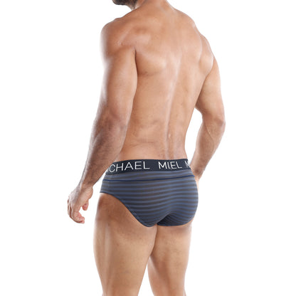 Michael MLH010 Brief