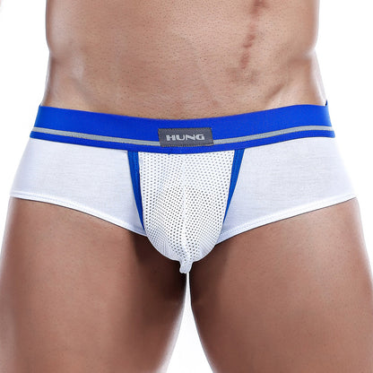 Hung HGJ002 Brief