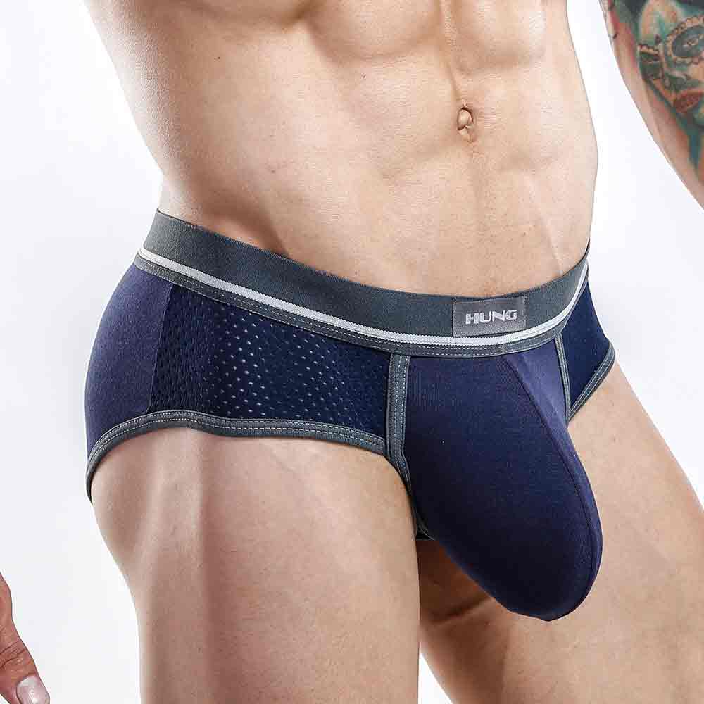 Hung HGJ004 Brief