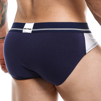 Hung HGJ010 Brief