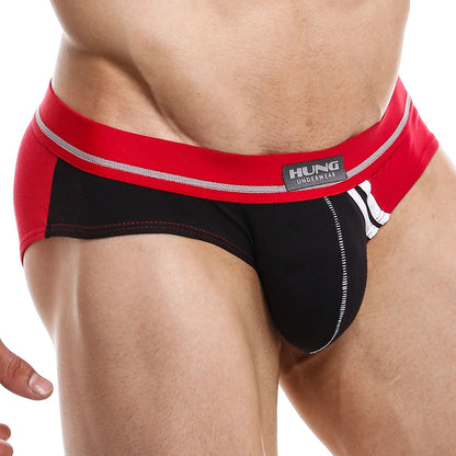 Hung HGJ010 Brief