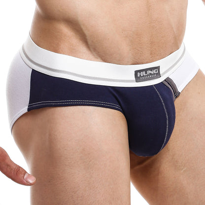 Hung HGJ010 Brief